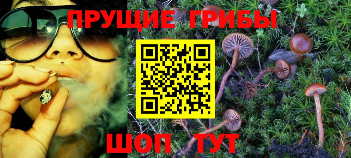 Полевской  Псилоцибиновые грибы мицелий  Вход с VPN 